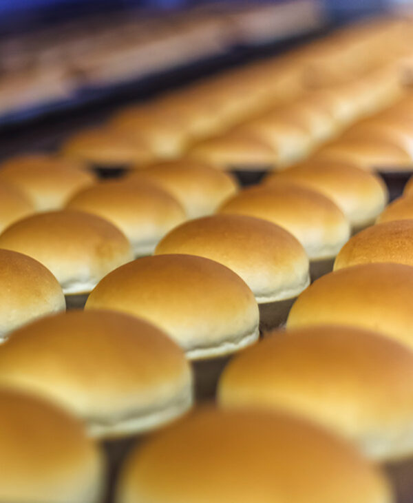 bread 4 Super Miracle Premium