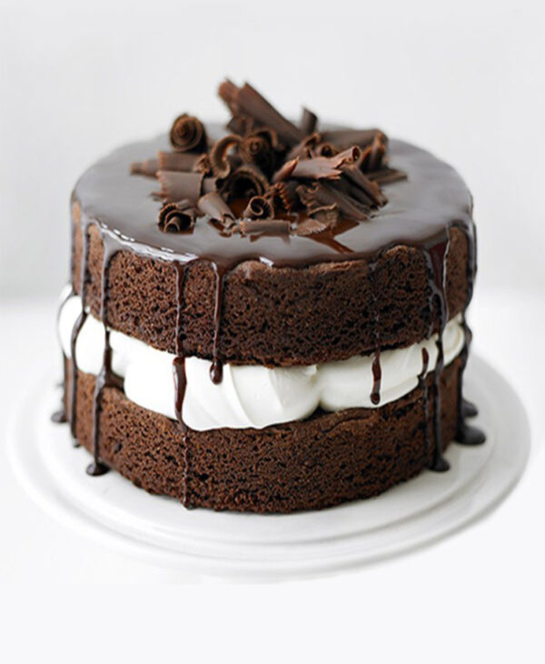 Eggfree Cake Mix Chocolate Flavoured