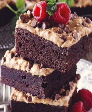 cake 5 Eggfree American Brownie Mix