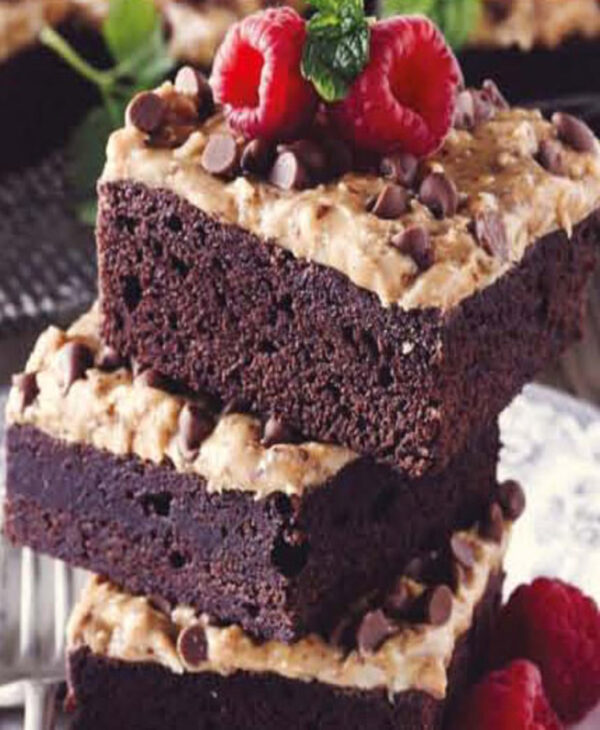 cake 5 Eggfree American Brownie Mix